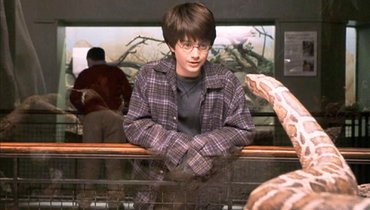 Эксперт оценила эпизод из «Гарри Поттера», где главный герой говорит со змеей