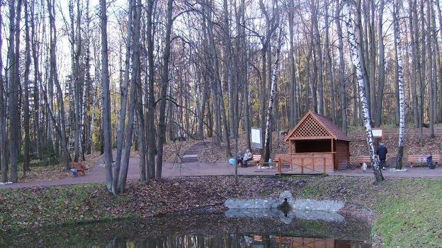 Фестиваль Парк «Foresta», Московская обл. - официальный сайт