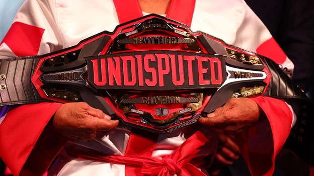 Чемпионский пояс версий WBC, WBA Super, WBO, IBF, IBO и The Ring в супертяжелом весе. Чемпионский пояс версий WBC, WBA Super, WBO, IBF, IBO и The Ring в супертяжелом весе.