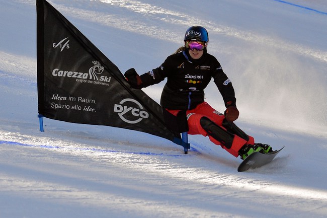 Fis Snowboard Slalom