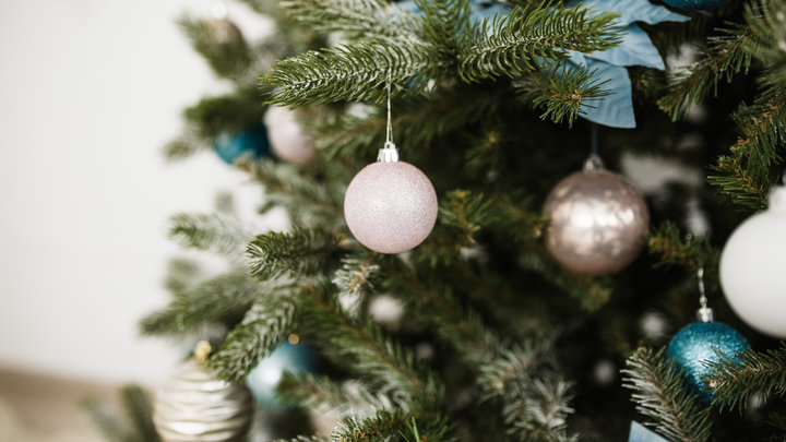Дизайнер рассказала, на что обратить внимание при покупке елки
