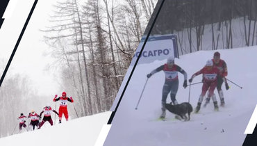 Собака сбила двух лыжниц во время марафона на чемпионате России.