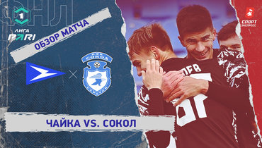 «Чайка» — «Сокол»: ФНЛ, 23-й тур, видеообзор матча